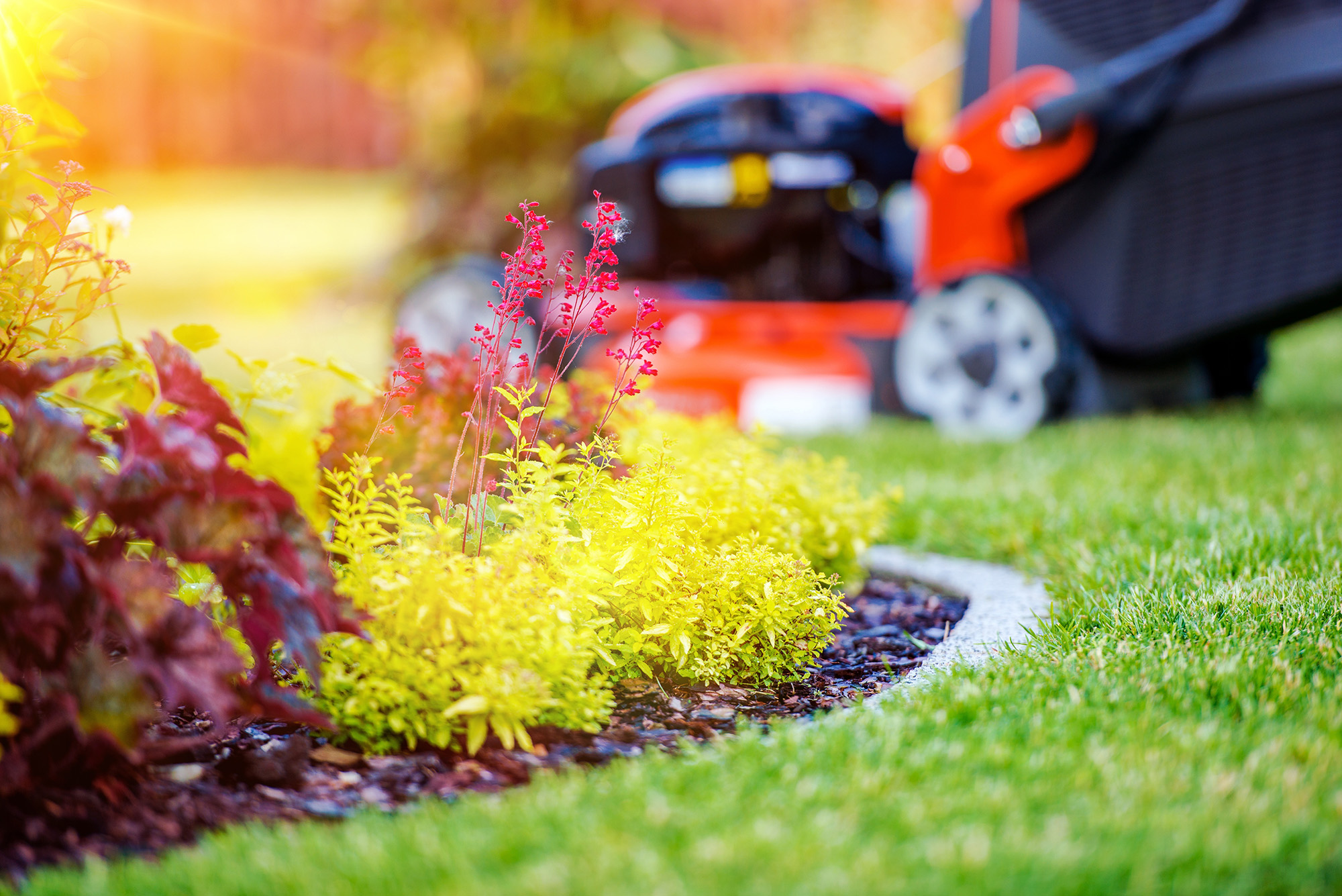 Commercial landscaping in Reno, NV